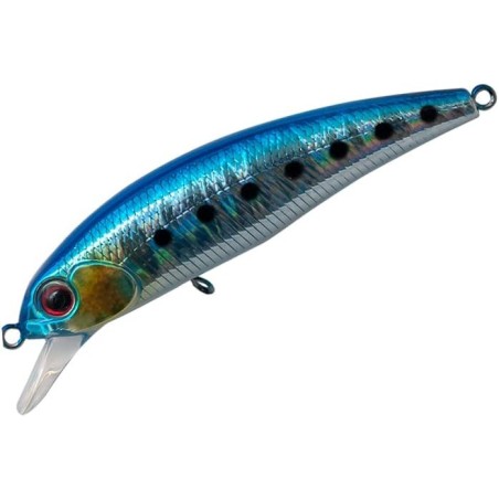 MG10 Sardine