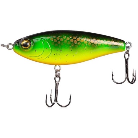 11 Orange Belly Perch