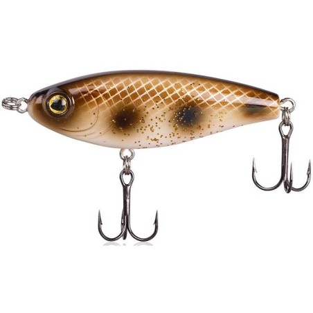 8 Spotted Bullhead
