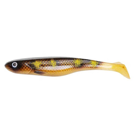 SpottedBullhead