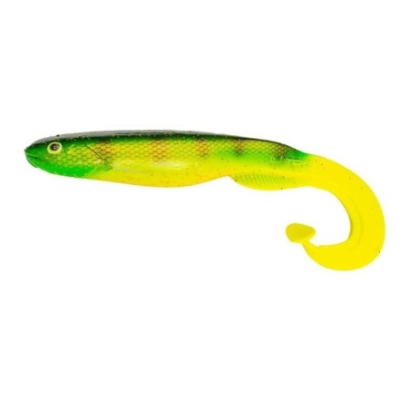 Orange Belly Perch
