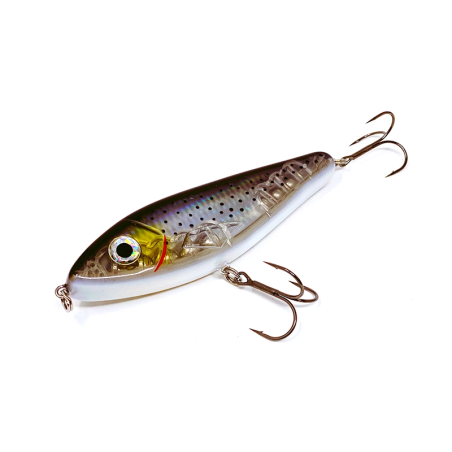 Seatrout