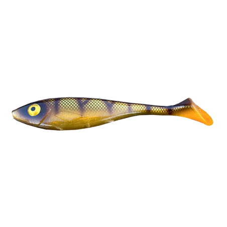 Golden Perch