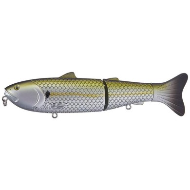 Summer Shad