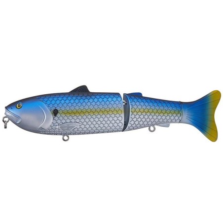 Killer Shad