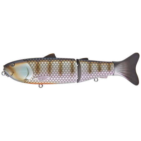 Bluegill