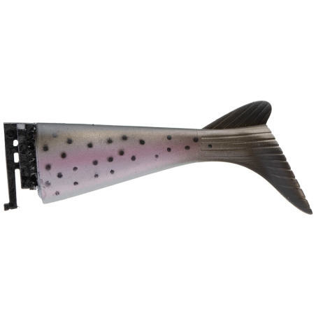 Trout