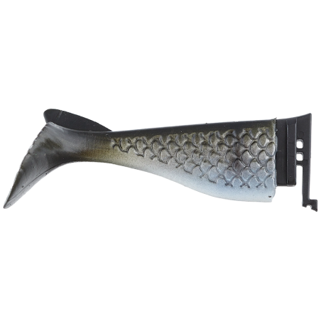 Blue Gill