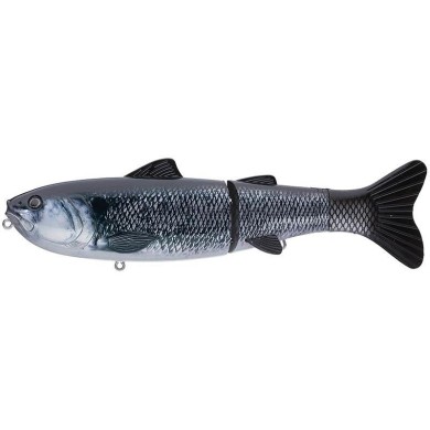 Shad