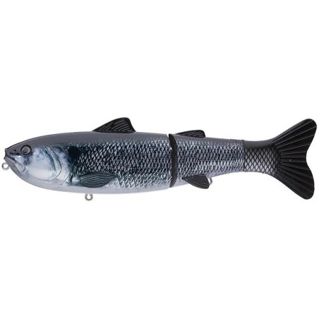 Shad