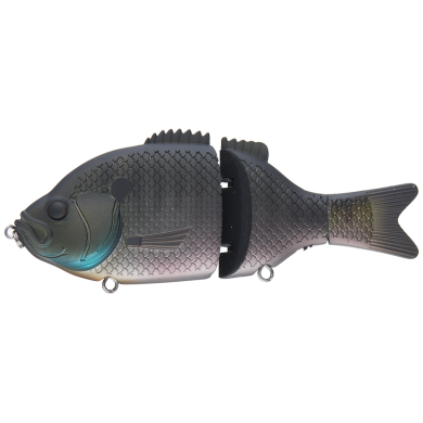 Dark Blue Gill
