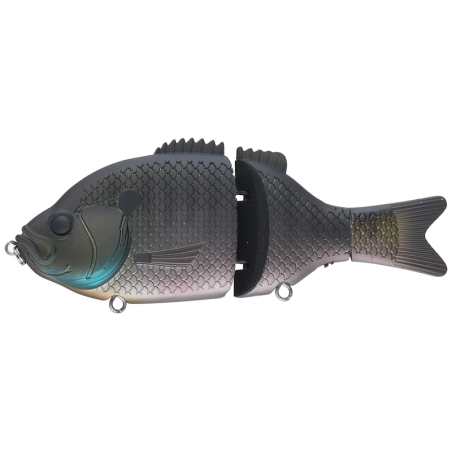 Dark Blue Gill