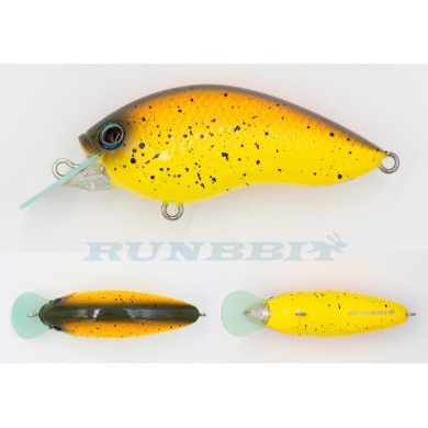 021 US Bream