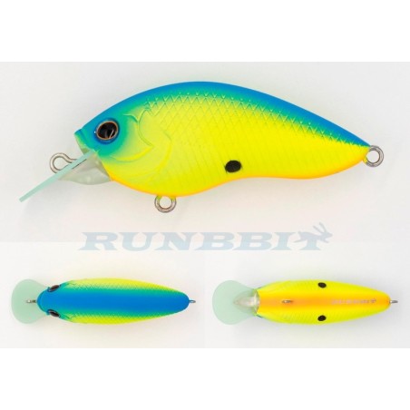 020 Blue Back Chart