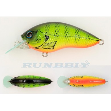018 Bright Gill P