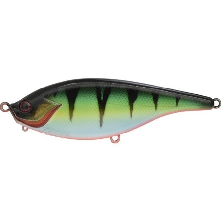 RED FIN PERCH
