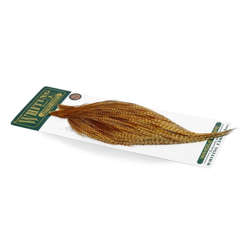 Capa de gallo de bronce Hebert de Whiting Farms