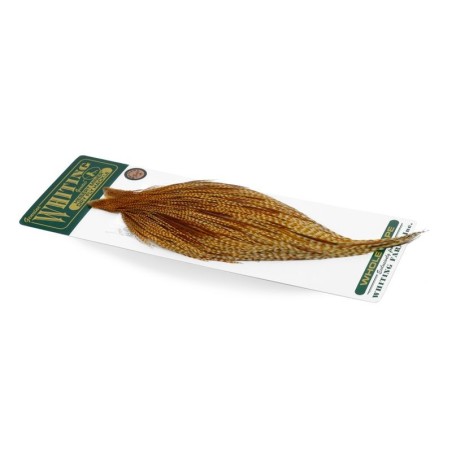 Capa de gallo de bronce Hebert de Whiting Farms
