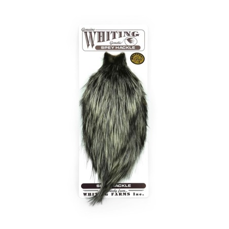 Whiting Farms Spey Hackle Gallo Cabo Oro