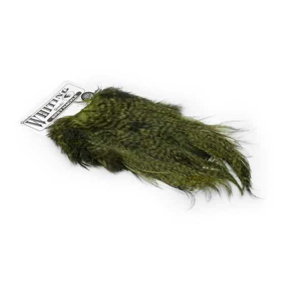 Whiting Farms Spey Hackle Gallo Silla Plata