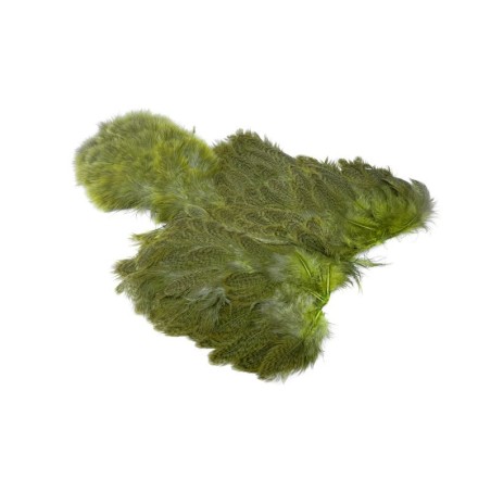 Speckled dyed Olive