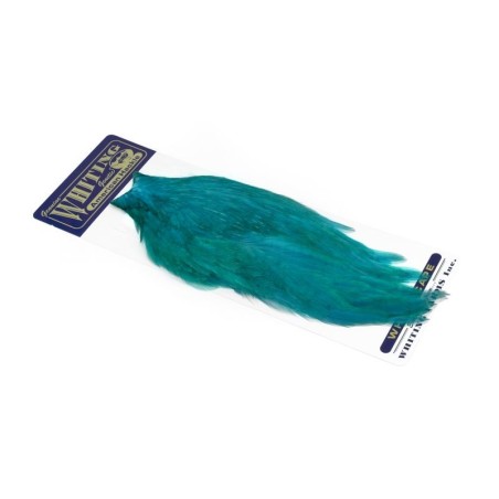 White dyed Teal