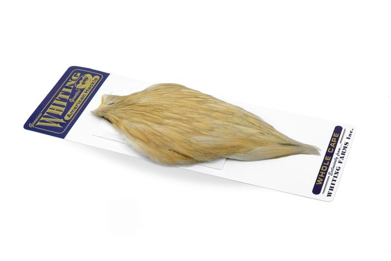 Whiting Farms American Rooster Cape - Picture 61 of 64