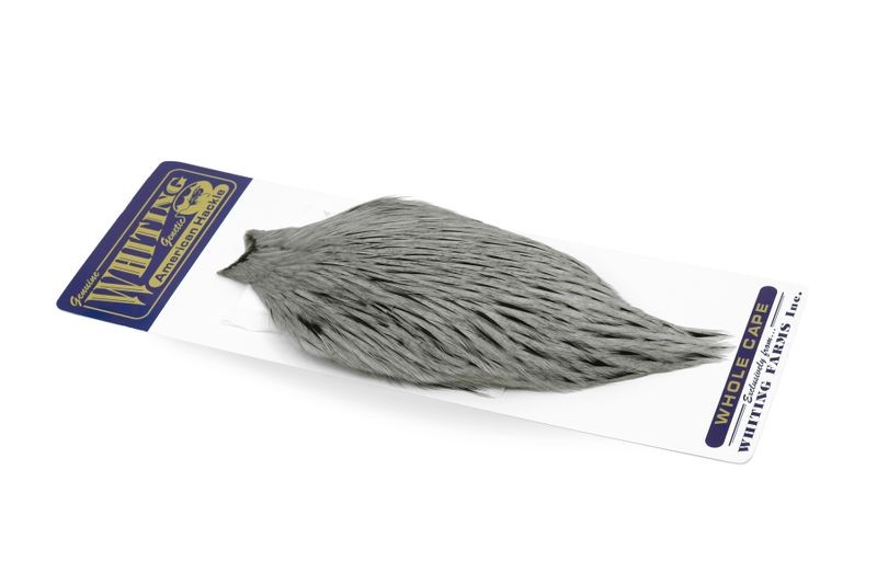 Whiting Farms American Rooster Cape - Picture 62 of 64