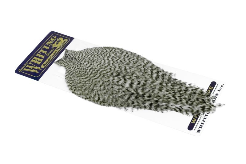 Capa de gallo americano Whiting Farms - Imagen 42 de 43