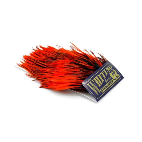 BLW dyed Orange