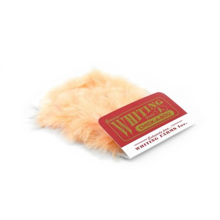 White dyed Salmon