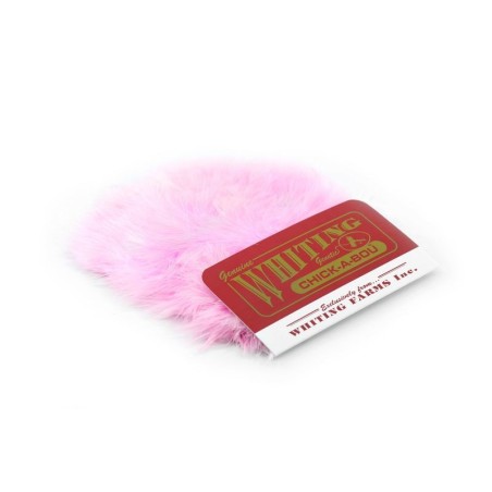 White dyed Shell Pink