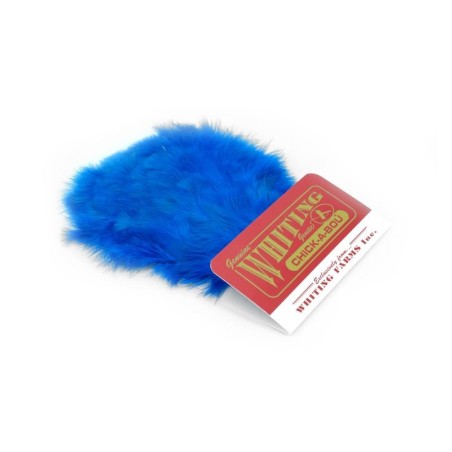 White dyed Kingfisher Blue