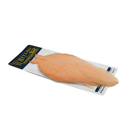 White dyed Salmon