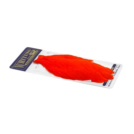 White dyed Orange