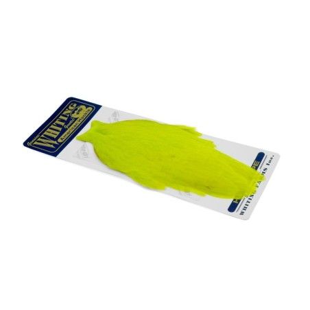 White dyed Fl. Yellow Chartreuse