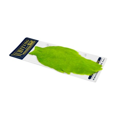White dyed Fl. Green Chartreuse