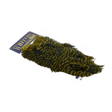 Grizzly dyed Golden Olive