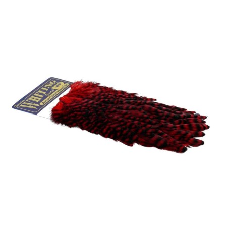 Grizzly dyed Red