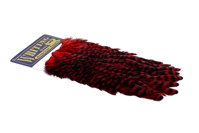 Whiting Farms American Hen Saddle - Imagen 35 de 47