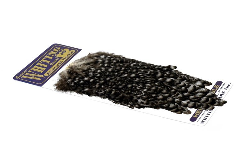 Whiting Farms American Hen Saddle - Imagen 36 de 47