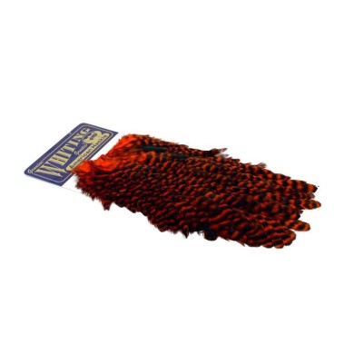Grizzly dyed Orange