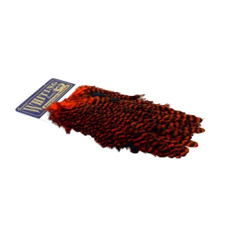 Grizzly dyed Orange