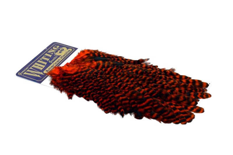 Whiting Farms American Hen Saddle - Imagen 37 de 47
