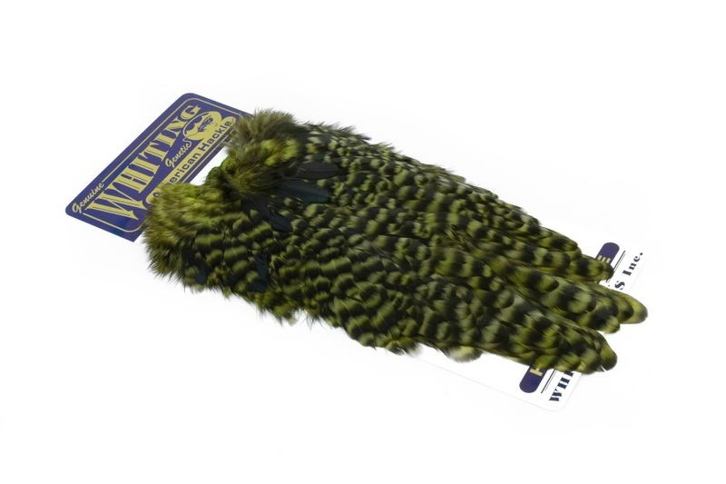 Whiting Farms American Hen Saddle - Imagen 38 de 47