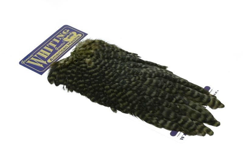 Whiting Farms American Hen Saddle - Imagen 39 de 47