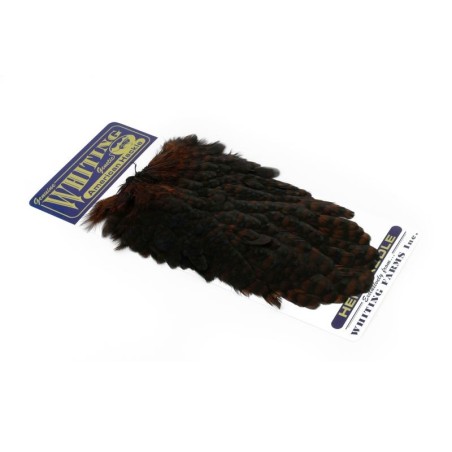 Grizzly dyed Coachman Brown