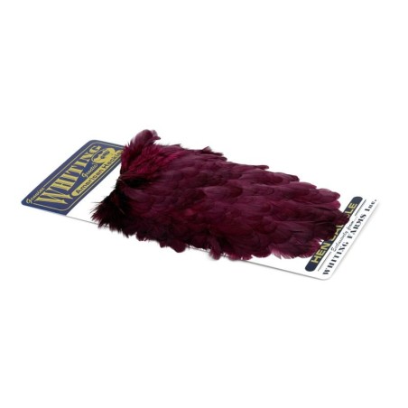 Grizzly dyed Claret