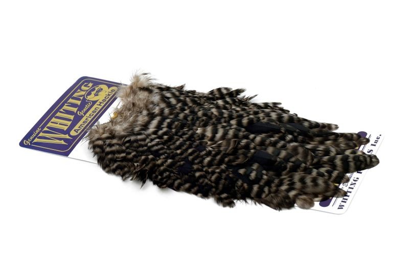Whiting Farms American Hen Saddle - Imagen 45 de 47