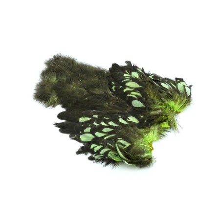 BLW dyed Insect Green